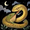 A dream in which a snake eats a toad