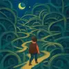 A dream of traveling a very complicated and intricate path