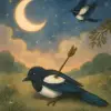 Dream of a magpie being shot and killed