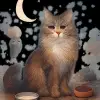 I was a Maine Coon feline being all cute and cuddly, but I was also a hunter cat hunting for mice, and I always get attention from master aka humans. And I drank and ate whatever I wish!